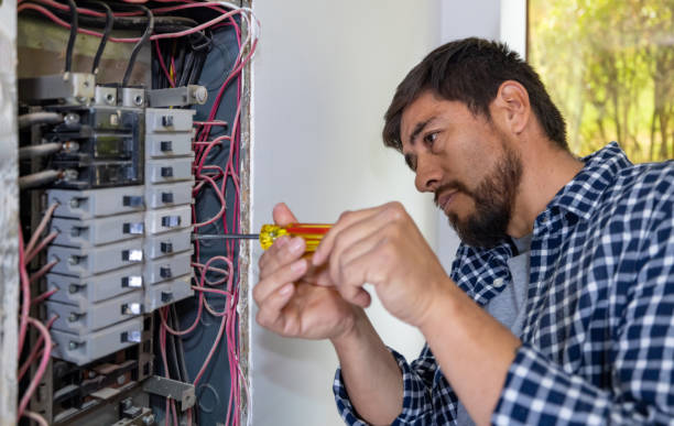 Best Ceiling Fan Installation Electrician  in Fall River, WI